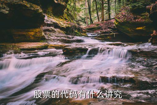 股票的代码有什么讲究