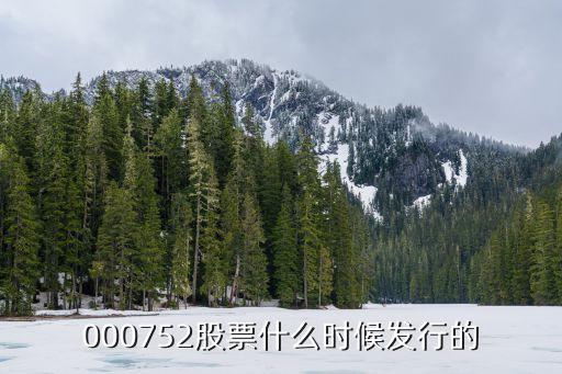 000752股票什么时候发行的
