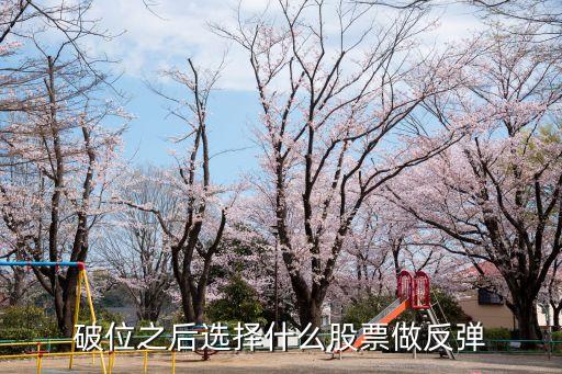 破位之后选择什么股票做反弹