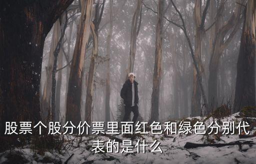 股票个股分价票里面红色和绿色分别代表的是什么