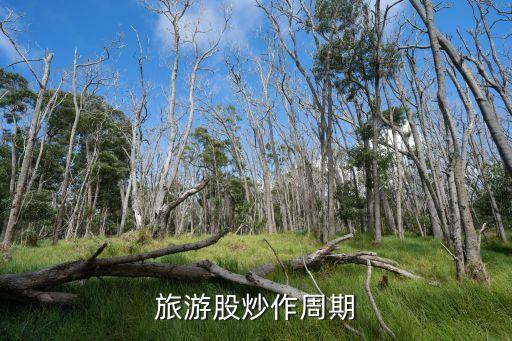 旅游股炒作周期