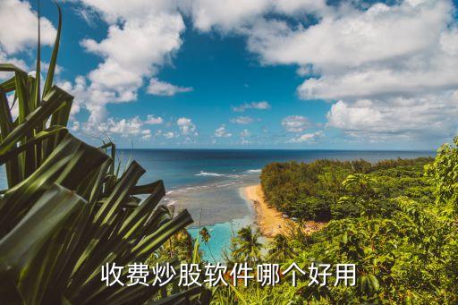收费炒股软件哪个好用