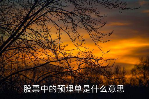 股票中的预埋单是什么意思