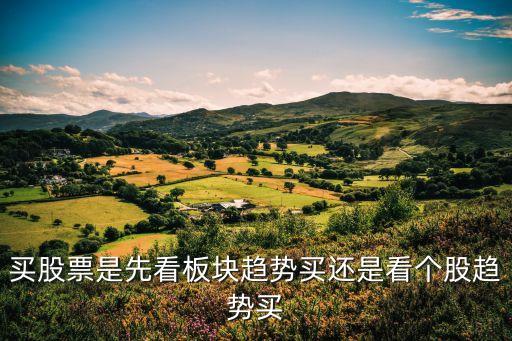 买股票是先看板块趋势买还是看个股趋势买