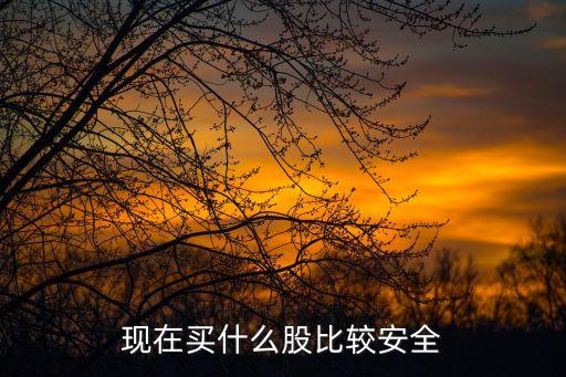现在什么股票安全性高，现在买什么股比较安全