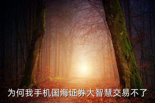 为什么手机买股票买不了，为何我手机国海证券大智慧交易不了