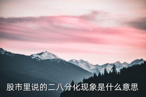 股市里说的二八分化现象是什么意思