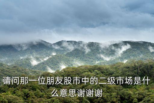 请问那一位朋友股市中的二级市场是什么意思谢谢谢
