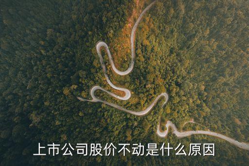 上市公司股价不动是什么原因