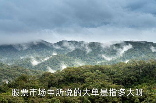 股票市场中所说的大单是指多大呀