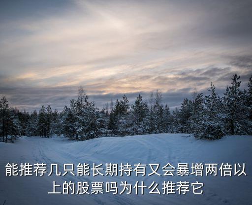 能推荐几只能长期持有又会暴增两倍以上的股票吗为什么推荐它