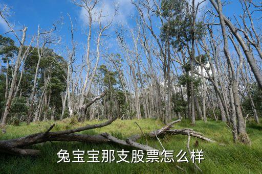 兔宝宝那支股票怎么样