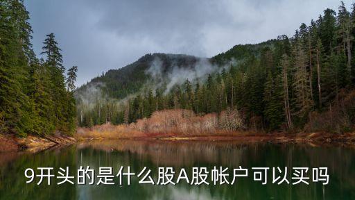 9开头的是什么股A股帐户可以买吗