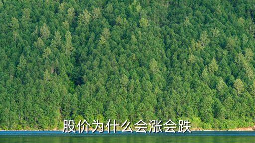 股价为什么会涨会跌
