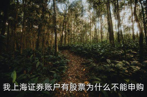 我上海证券账户有股票为什么不能申购
