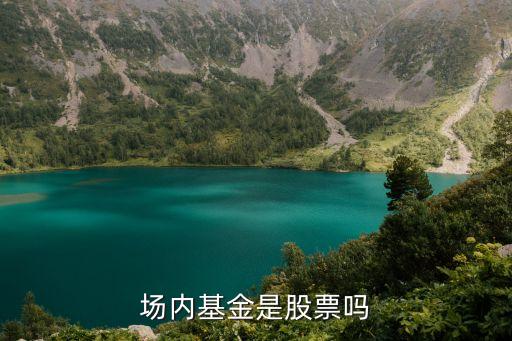 场内基金是股票吗