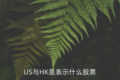 US与HK是表示什么股票