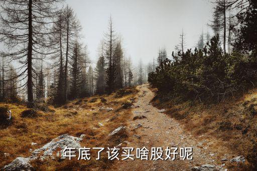 旱年买什么股票，年底了该买啥股好呢