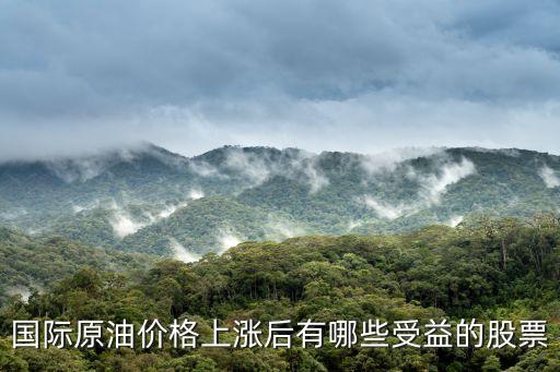 油价涨什么股票赚钱快，汽油上涨买什么股好
