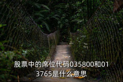 股票投资席位什么意思，股票中的席位代码035800和013765是什么意思