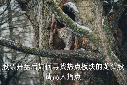 股票开盘后如何寻找热点板块的龙头股请高人指点