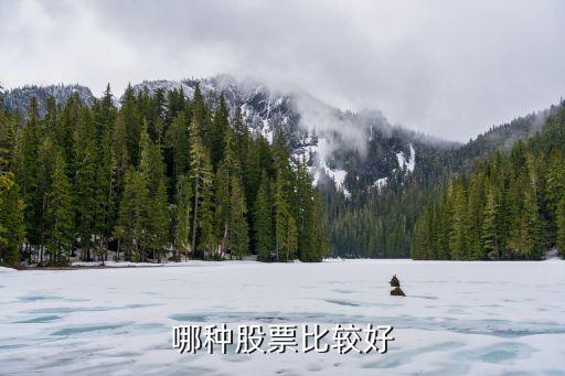 普通人适合玩什么股票，以现在来看买什么股票可以