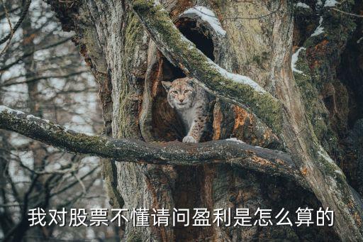 我对股票不懂请问盈利是怎么算的