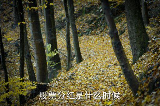 每年的股票什么时候分红，股票年底分红大概都什么时间分几月份