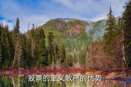 股票的定义散户的优势