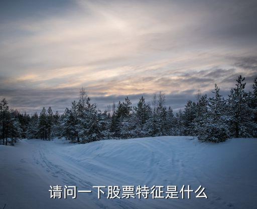 请问一下股票特征是什么
