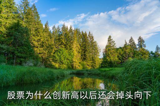 股票转头向下什么意思啊，002458股票怎忽然转头向下