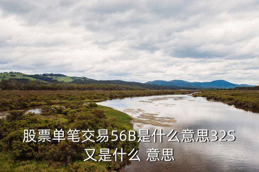股票单笔交易56B是什么意思32S又是什么 意思