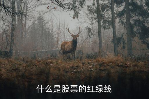 股票红色线是什么，什么是股票的红绿线
