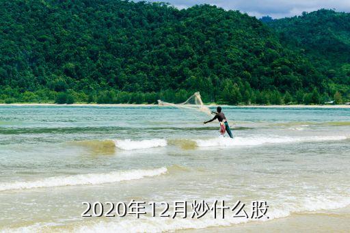 2020年12月炒什么股