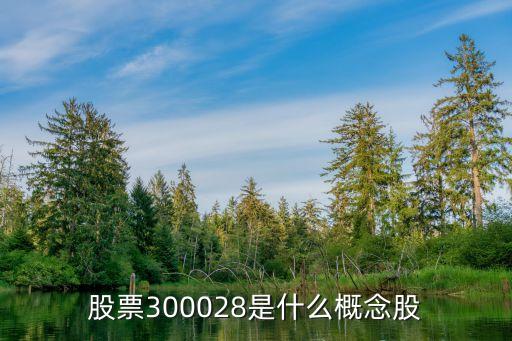 股票300028是什么概念股