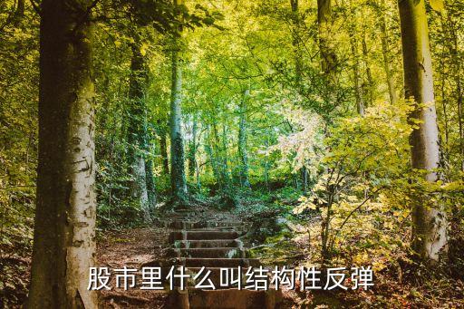 股市里什么叫结构性反弹