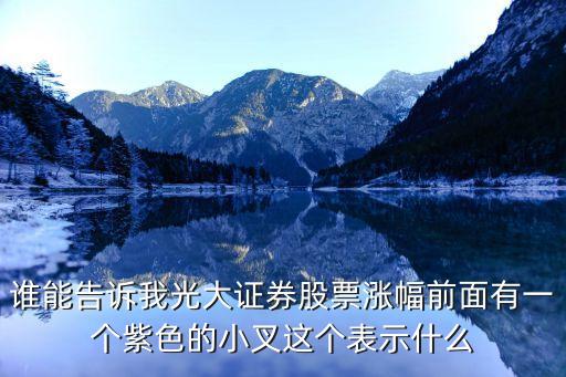 股票涨价小图标什么意思，谁能告诉我光大证券股票涨幅前面有一个紫色的小叉这个表示什么
