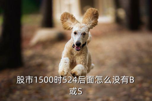 股市1500时524后面怎么没有B或S