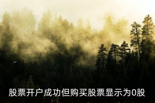 为什么股票名称成了0，股票开户成功但购买股票显示为0股