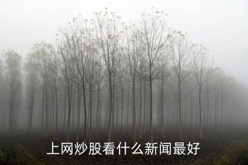 买股票早上看什么新闻最好，上网炒股看什么新闻最好