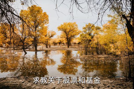 年轻人该买什么股票，求教关于股票和基金