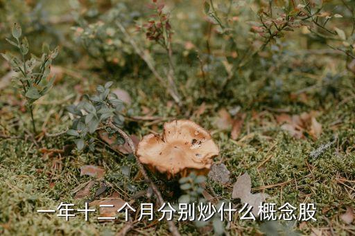 一年十二个月分别炒什么概念股
