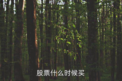 股票什么时候买