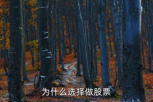 为什么选择做股票