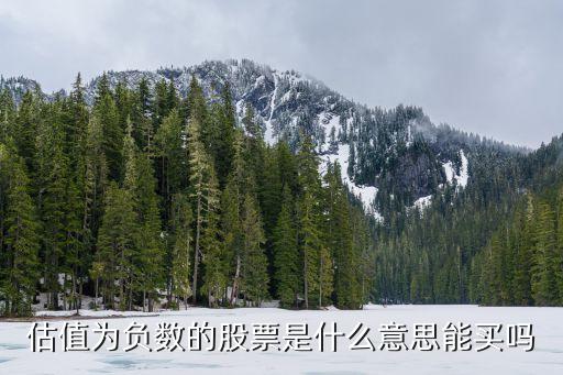 股票最低负数是什么意思，估值为负数的股票是什么意思能买吗
