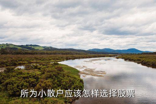股市低点先买什么股票，怎样入门股票啊作为一个收入较低的我来说买什么股票合适呢