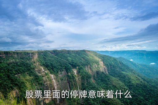 股票里面的停牌意味着什么