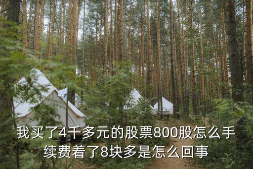 为什么买股票显示8块，为什么昨天买的楚天高速股票收盘价是1045今天怎么就变成了八块