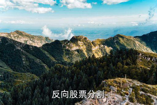 反向股票分割