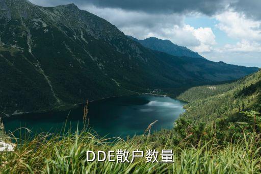 股票散户数量代表什么，同花顺里DDE排名的散户数量是什么意思